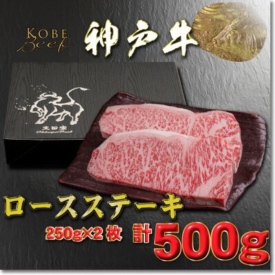 神戸牛 ロースステーキ 250g×2枚 計500g YBST5 【2026年4月より順次発送】【配送不可地域：離島】【1681995】