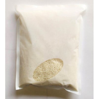 お試し!令和7年産【premium】星降る清流米　天-TEN-・凰-OU-　精米 計600g【1699957】