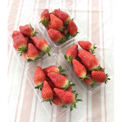 ãå
å±±ãã¡ãã®åœãã®ãã¡ã4ããã¯å
¥ããé
éäžå¯å°åïŒé¢å³¶ãã1346272ã