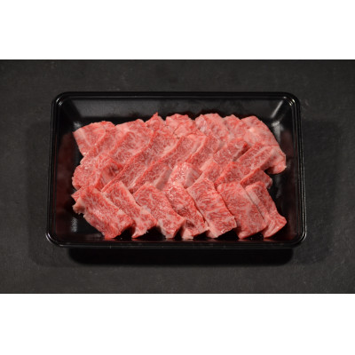 神戸牛　霜降り焼肉　600g【配送不可地域：離島】【1441913】