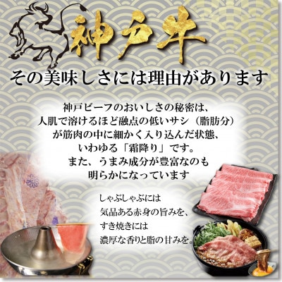 神戸牛 すき焼き・切り落とし肉セット 計900g YBS3 【2026年4月より順次発送】【配送不可地域：離島】【1681981】