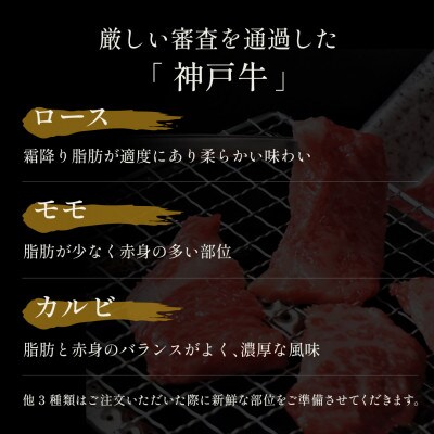 和牛セレブの神戸牛 6種の希少部位焼肉食べ比べ 500g【配送不可地域：離島】【1436474】