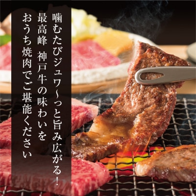 【神戸牛】贅沢ヒレ焼肉　計300g(150g×2P)【配送不可地域：離島】【1735662】