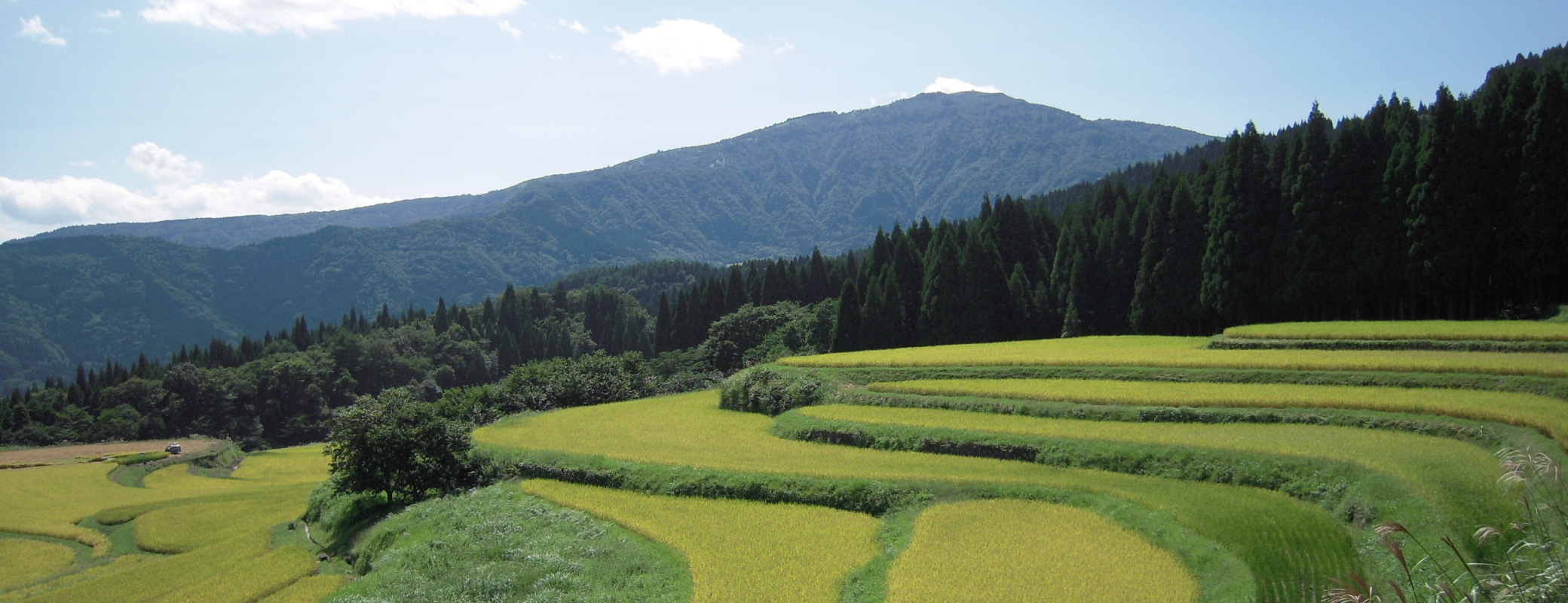 兵庫県養父市