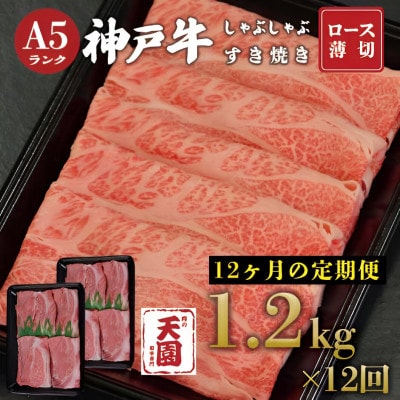 【毎月定期便】【ふるさと納税】神戸牛 霜降り 肩ロース しゃぶしゃぶすき焼き1200g×全12回【配送不可地域：離島】【4083899】
