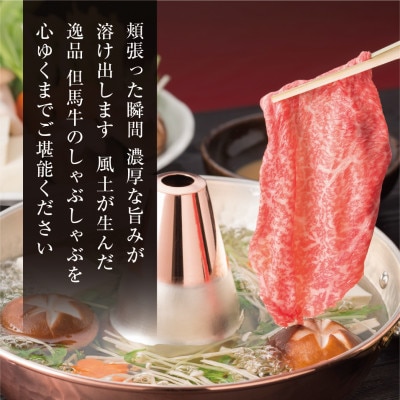 【但馬牛】しゃぶしゃぶ赤身&霜降り 特選セット500g【配送不可地域：離島】【1313168】