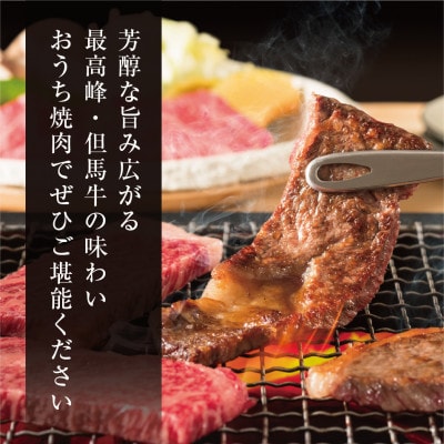 【但馬牛】焼肉 赤身＆霜降り 特選セット500g【配送不可地域：離島】【1313161】