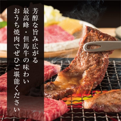 【但馬牛】焼肉 赤身&霜降り 特選セット700g【配送不可地域：離島】【1313170】