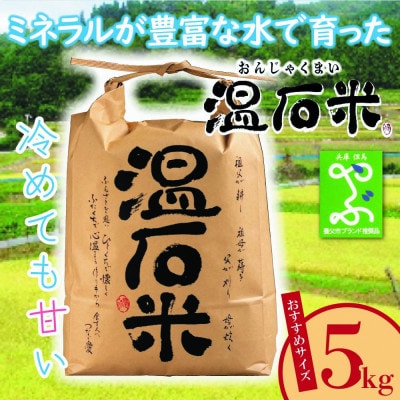 甘くて、冷めても美味しい「温石米」5kg(2024年収穫米)【1363254】