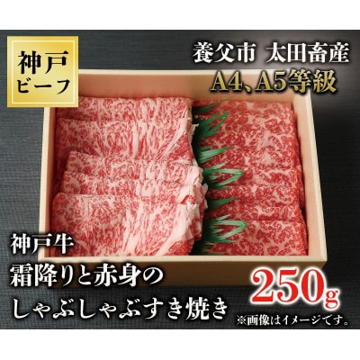 神戸牛　霜降りと赤身のしゃぶしゃぶすき焼き　250g【配送不可地域：離島】【1443131】