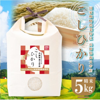 農業特区兵庫県養父市産こしひかり5kg【1666285】