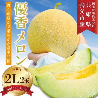 数量限定!こだわり農家さんの希少な優香メロン【2L×2】【配送不可地域：離島・北海道・沖縄県・東北】【1735444】
