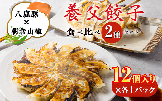 【特産品・八鹿豚×朝倉山椒がコラボ】養父餃子食べ比べセット(冷凍24個)/12個入り1パック×2【配送不可地域：離島】【1476004】