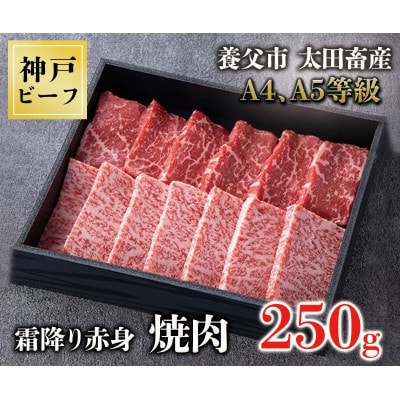 神戸牛　霜降赤身焼肉　250g【化粧箱】【配送不可地域：離島】【1428068】