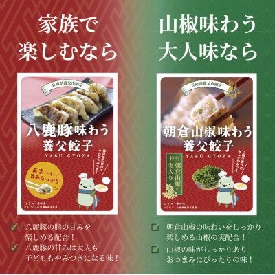 【特産品・八鹿豚×朝倉山椒がコラボ】養父餃子食べ比べセット(冷凍24個)/12個入り1パック×2【配送不可地域：離島】【1476004】