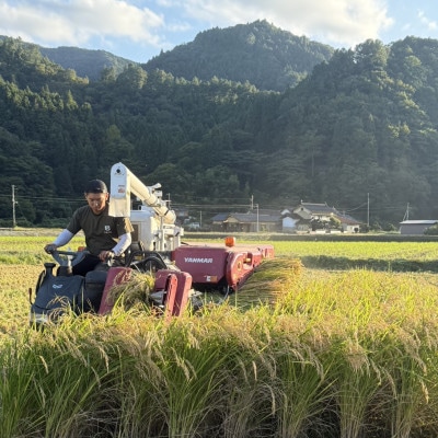 お試し!令和7年産【premium】星降る清流米　天-TEN-・凰-OU-　精米 計600g【1699957】