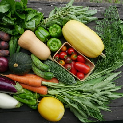 【発送月固定定期便】【6〜12月】但馬の旬をお届け!採れたて野菜セット全7回【配送不可地域：離島】【4086065】