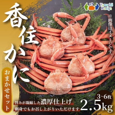 香住がに　おまかせセット　約2.5kg(3〜6枚)【配送不可地域：離島】【1606120】