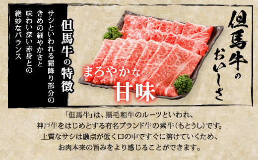 【但馬牛】すき焼き 赤身&霜降り 特選セット500g【配送不可地域：離島】【1313137】