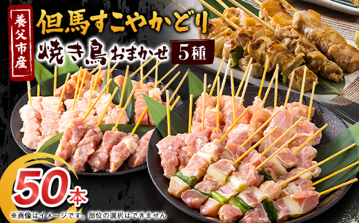 焼き鳥セット おまかせ5種盛り合わせ(もも・ももねぎ・生皮・ハラミなど)50本【配送不可地域：離島】【1615123】