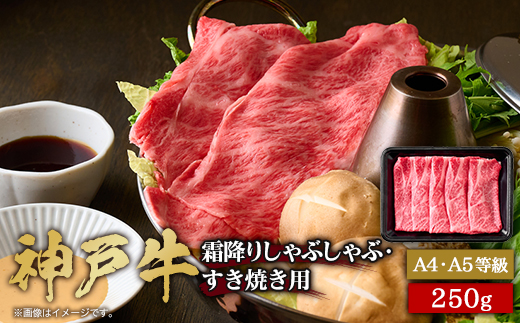 神戸牛　霜降りしゃぶしゃぶすき焼き　250g【配送不可地域：離島】【1443009】
