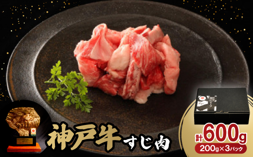 神戸牛すじ肉600g【配送不可地域：離島】【1527761】