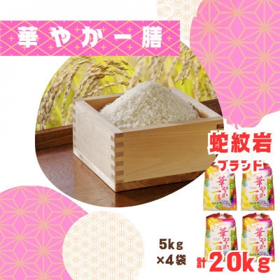 【発送月固定定期便】令和7年産新米 蛇紋岩ブランド 華やか一膳 20kg(5kg×4)全3回【4070721】