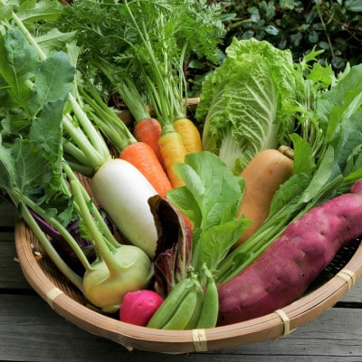 【発送月固定定期便】【6〜12月】但馬の旬をお届け!採れたて野菜セット全7回【配送不可地域：離島】【4086065】