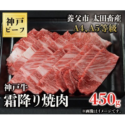 神戸牛　霜降り焼肉　450g【配送不可地域：離島】【1441839】