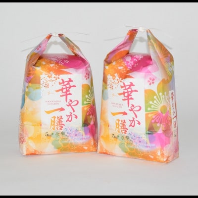 【蛇紋岩ブランド　華やか一膳20kg】【1451000】