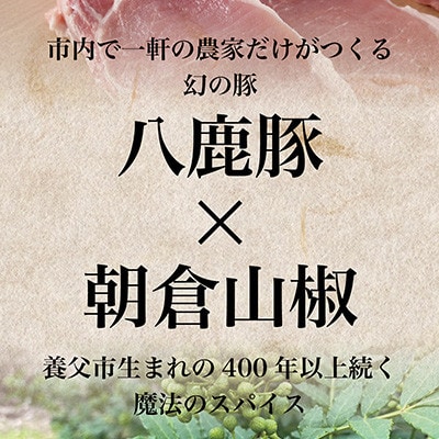 八鹿豚味わう養父餃子(要冷凍/12個入り)×2パック【配送不可地域：離島】【1418071】