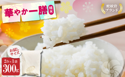お試し!令和8年産〈先行受付〉9月より順次発送送【蛇紋岩ブランド　華やか一膳】300g(2合×1袋)【1699940】