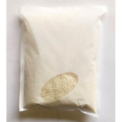 お試し!令和7年産【蛇紋岩銀粒　彩りの舞】精米 計600g(2合×2袋)【1699934】