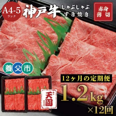 【毎月定期便】【ふるさと納税】神戸牛 赤身 モモ しゃぶしゃぶすき焼き1200g×全12回【配送不可地域：離島】【4083895】