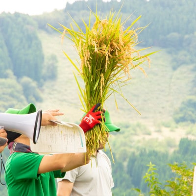 別宮棚田米(精米)5kg【1682400】