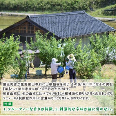 朝倉山椒　兵庫県養父市産　冷凍　500g【配送不可地域：離島】【1409907】