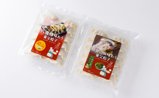 【特産品・八鹿豚×朝倉山椒がコラボ】養父餃子食べ比べセット(冷凍24個)/12個入り1パック×2【配送不可地域：離島】【1476004】