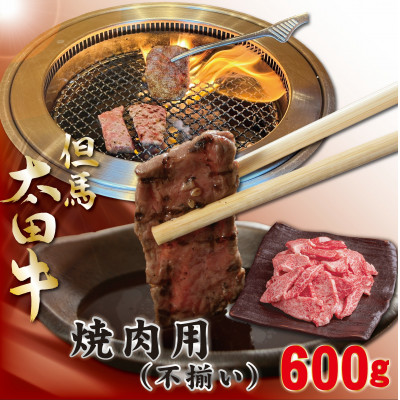 訳あり 但馬 太田牛 焼肉用(切り落とし) 600g OY1【配送不可地域：離島】【1551652】
