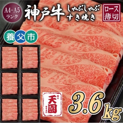 【毎月定期便】【ふるさと納税】神戸牛 霜降り 肩ロース しゃぶしゃぶすき焼き600g×全6回【配送不可地域：離島】【4083897】