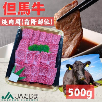 但馬牛　焼肉用(霜降り部位)500g【配送不可地域：離島】【1615681】