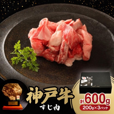 神戸牛すじ肉600g【配送不可地域：離島】【1527761】