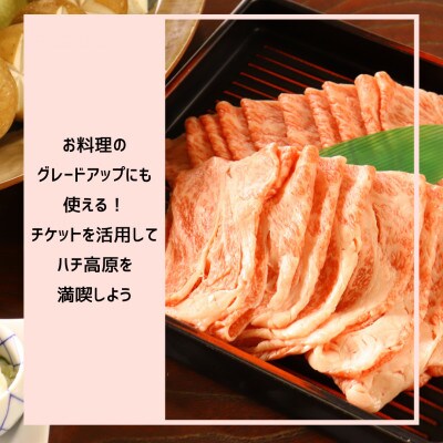 【宿泊や体験などに使える】このはなフリーチケット60,000円分【1373803】