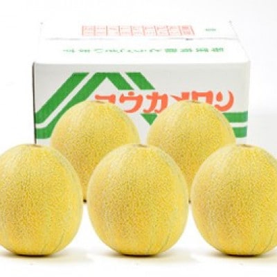 æ°ééå®!ãã ãã蟲家ããã®åžå°ãªåªéŠã¡ãã³ã6LÃ1ããé
éäžå¯å°åïŒé¢å³¶ã»åæµ·éã»æ²çžçã»æ±åãã1735401ã