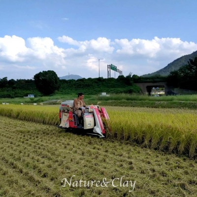 NATURE&CLAYãæ®ç蟲è¬0ãã·ãã€ãã¯ã¬ã€ç±³(çç±³)2kgã1706078ã