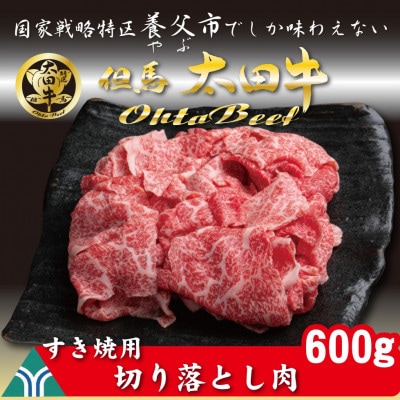 訳あり太田牛切り落とし肉 かたももばら600g【配送不可地域：離島】【1551650】