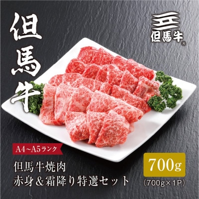 【但馬牛】焼肉 赤身＆霜降り 特選セット700g【配送不可地域：離島】【1313170】