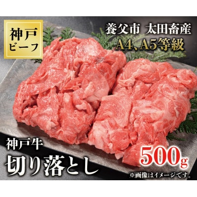 神戸牛　切り落とし　500g【配送不可地域：離島】【1443412】