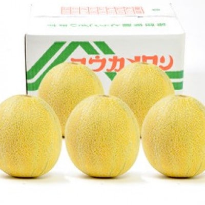 数量限定!こだわり農家さんの希少な優香メロン【特大×1】【配送不可地域：離島・北海道・沖縄県・東北】【1735353】