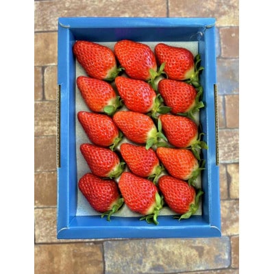 「内山いちごの国」の特別ないちごを15粒箱詰め【配送不可地域：離島】【1346279】