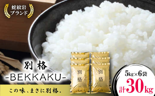令和7年産新米・2025年9月以降発送【ブランド別格米30kg】【1505036】